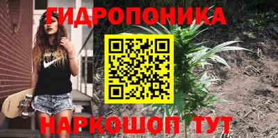 эйфоретик Бузулук