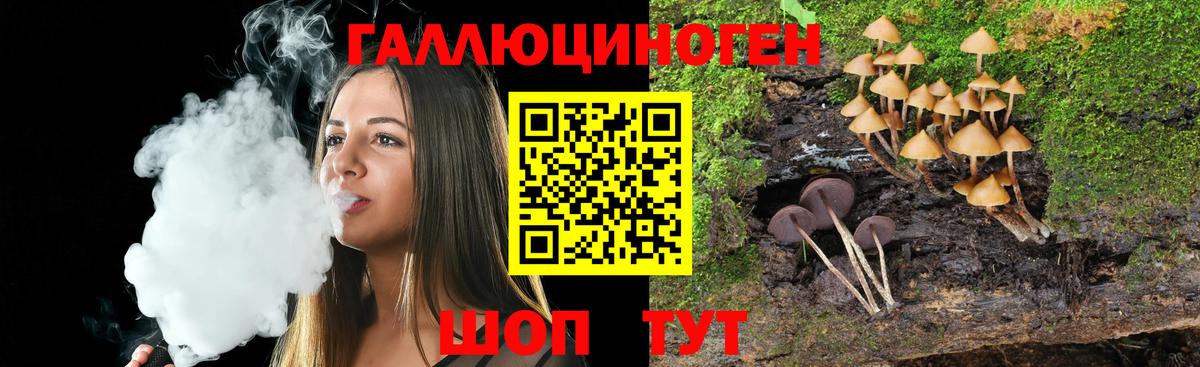 Галлюциногенные грибы MAGIC MUSHROOMS  Вход с VPN  Псилоцибиновые грибы Cubensis  Пенза 