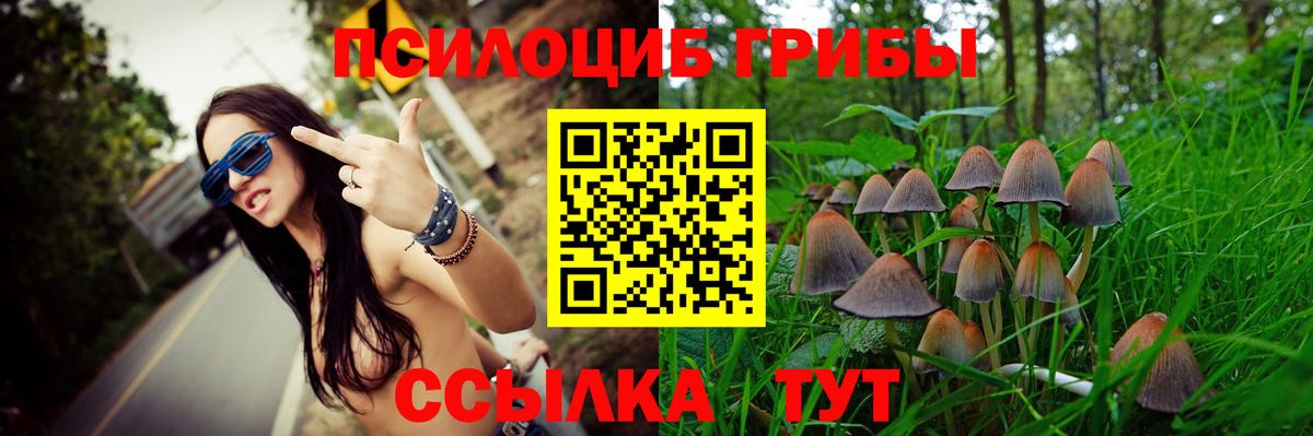 Псилоцибиновые грибы мицелий Пенза